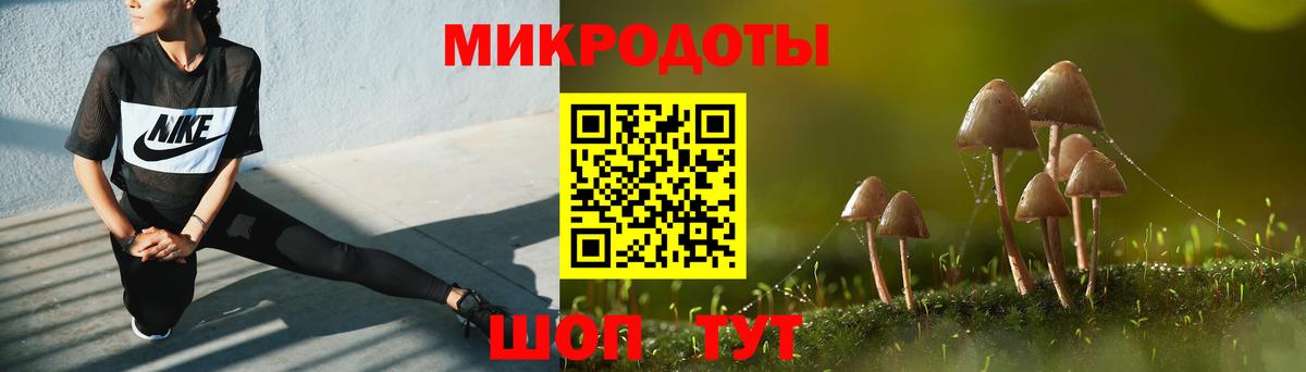 Псилоцибиновые грибы мухоморы Полысаево